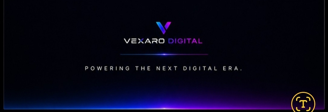 Vexaro Digital